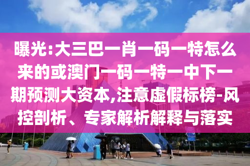 曝光:大三巴一肖一碼一特怎么來的或澳門一碼一特一中下一期預測大資本,注意虛假標榜-風控剖析、專家解析解釋與落實