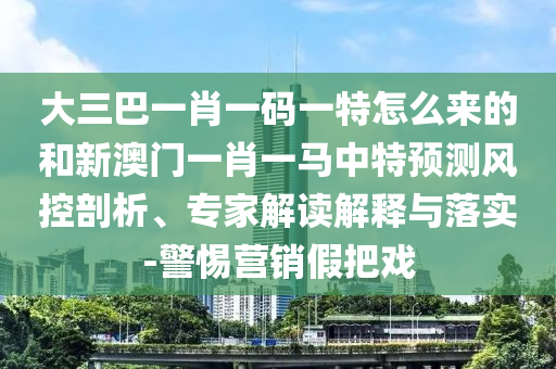 大三巴一肖一碼一特怎么來的和新澳門一肖一馬中特預測風控剖析、專家解讀解釋與落實-警惕營銷假把戲