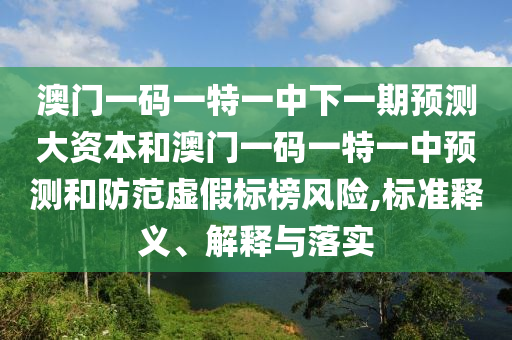 澳門一碼一特一中下一期預測大資本和澳門一碼一特一中預測和防范虛假標榜風險,標準釋義、解釋與落實