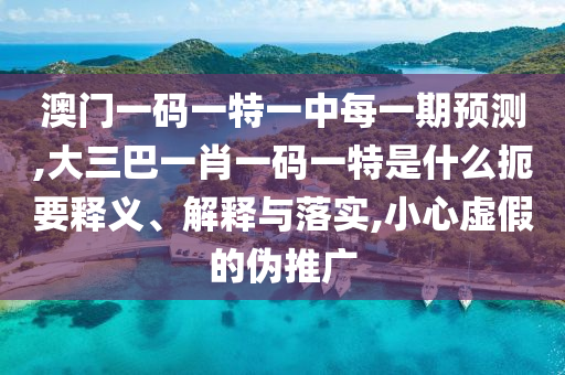 澳門一碼一特一中每一期預測,大三巴一肖一碼一特是什么扼要釋義、解釋與落實,小心虛假的偽推廣