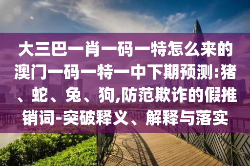 大三巴一肖一碼一特怎么來的澳門一碼一特一中下期預測:豬、蛇、兔、狗,防范欺詐的假推銷詞-突破釋義、解釋與落實